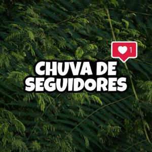 CHUVA DE SEGUIDORES🍃☘️
