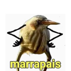 Avatar do grupo Amizade kkkkkkk