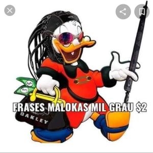 grau é esporte pra nós #021😌