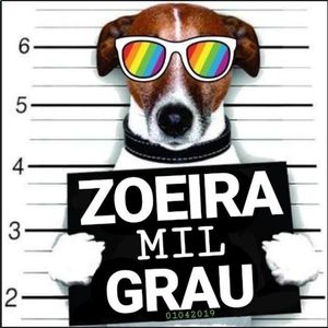 Zueira Total 😂🤭😜😎