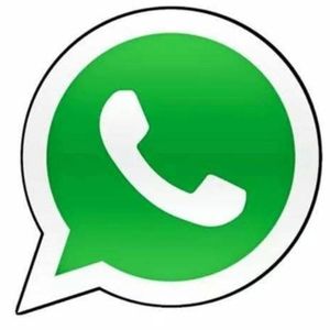 🔥CONTATINHOS ON LINE
