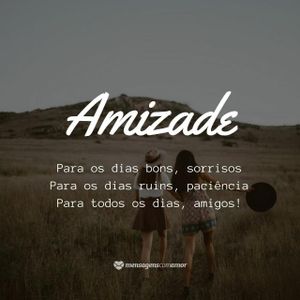 Novas amizades🐦