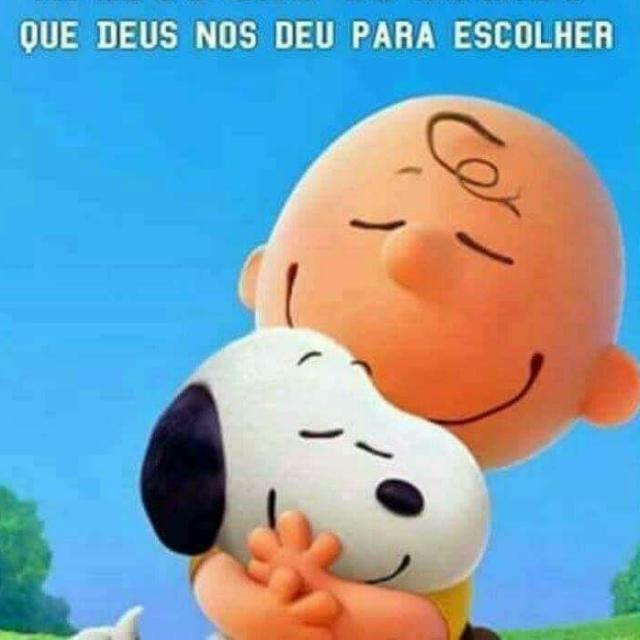 Amizade & figurinhas