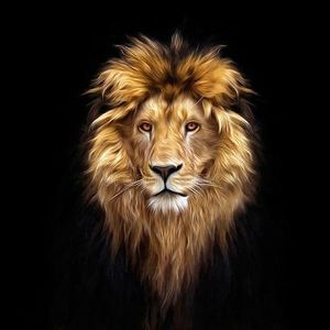 🦁 PROJETO LIONS 🦁