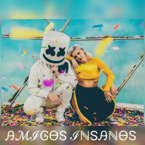 🥶⚠AMIGOS INSANOS⚠🥶